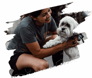 pet sitting teammate 2